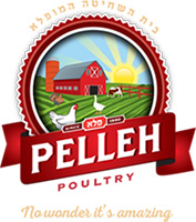 Duck Sausage Barley Soup - Pelleh